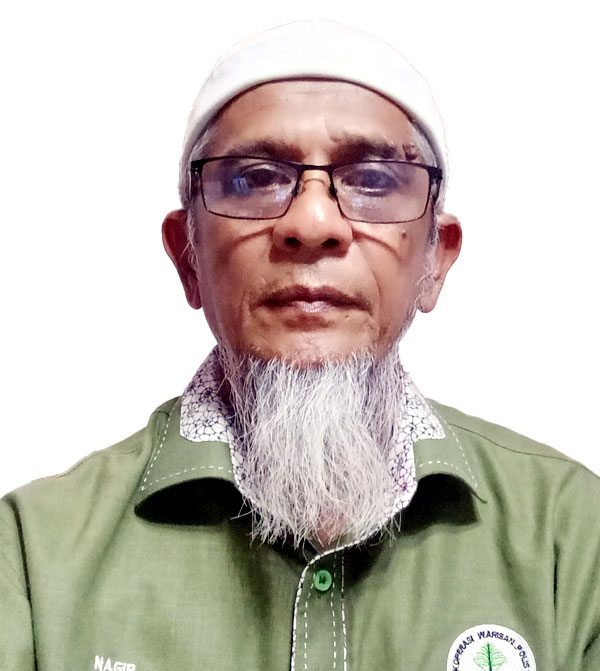 Nagib bin Ismail