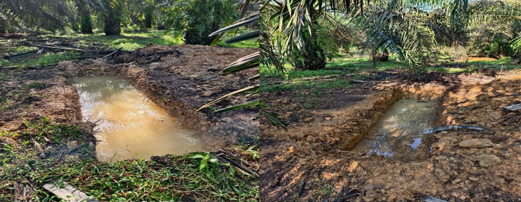 Pembinaan Silt Pit di Ladang KWPTB